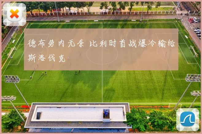 德布劳内无奈 比利时首战爆冷输给斯洛伐克
