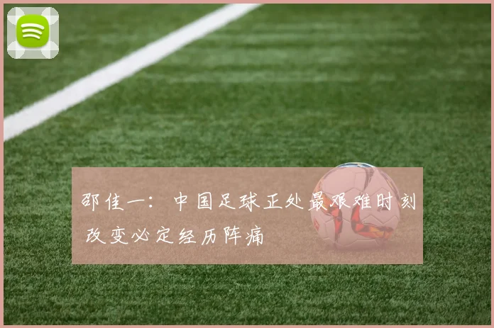 邵佳一：中国足球正处最艰难时刻 改变必定经历阵痛